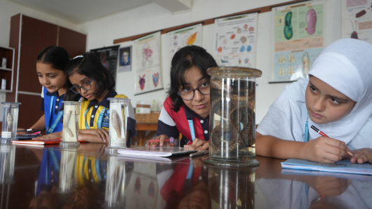 A day in the  Biology Lab