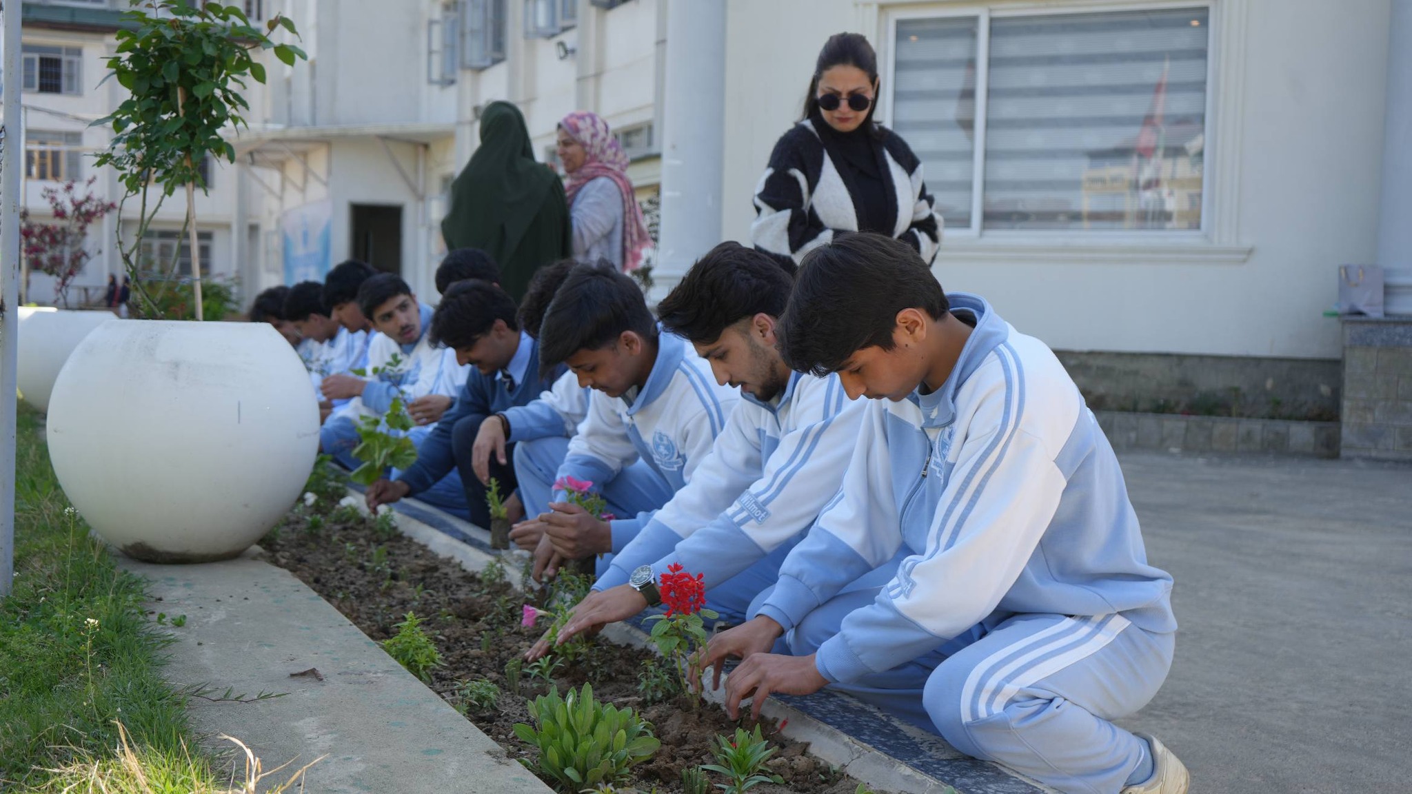Plantation Drive