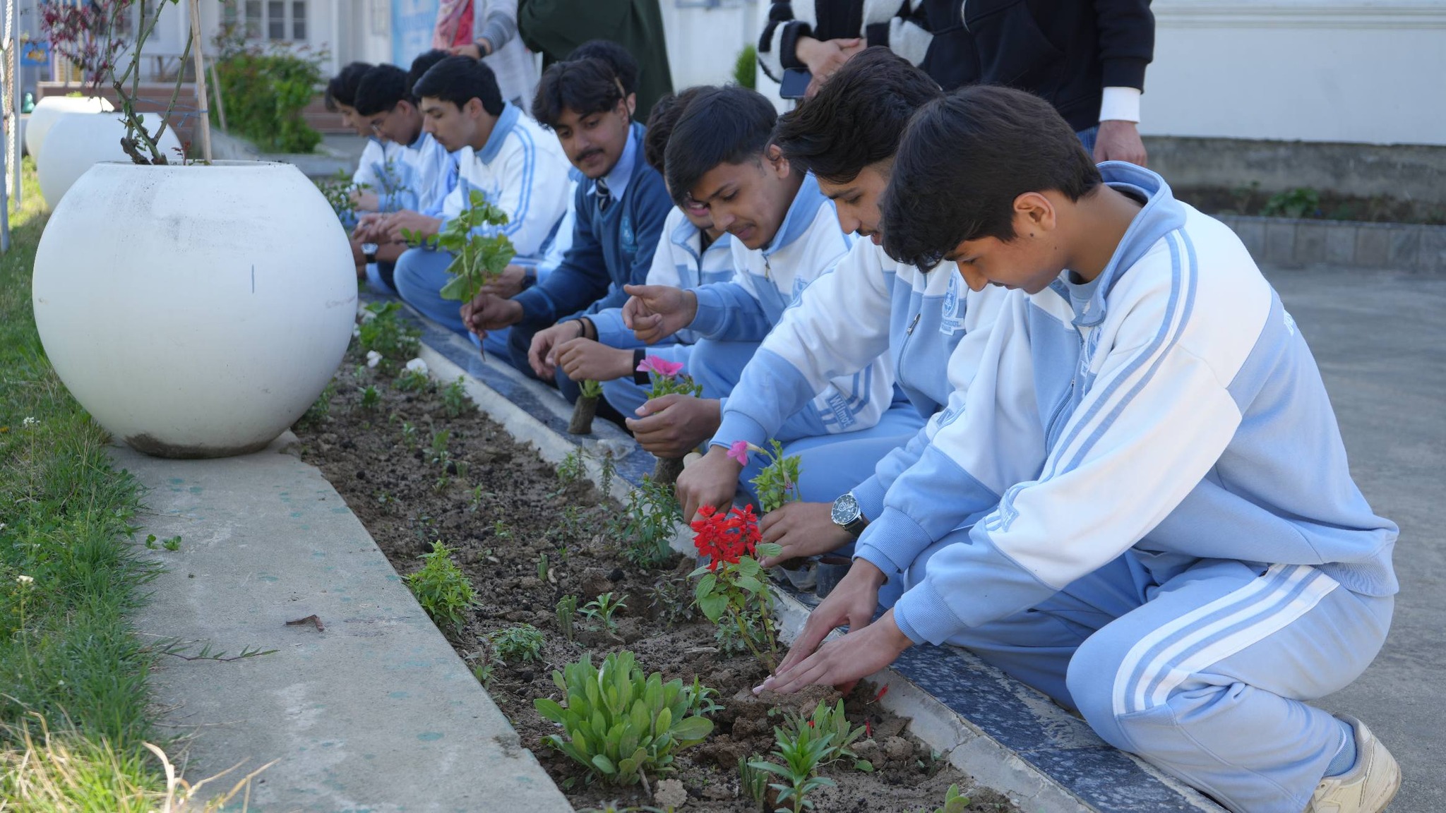 Plantation Drive
