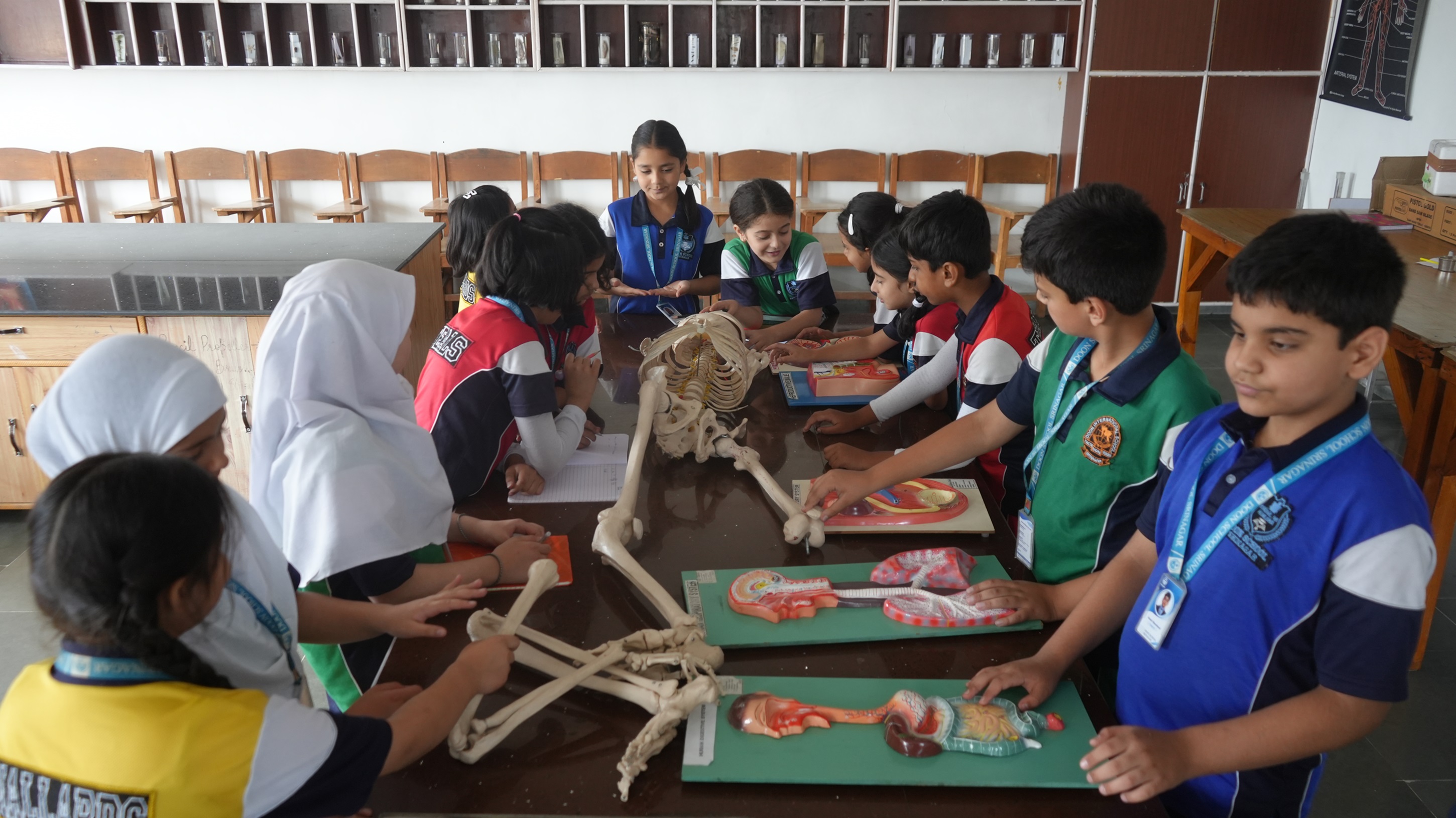 A day in the  Biology Lab